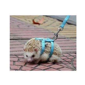 Adjustable Small Pet Hedgehog Harness